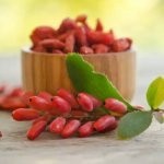 فوائد عشبة البربرين Berberine و آثارها الجانبية